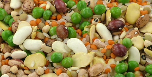 Colorful Assortment of Dried Beans and Legumes