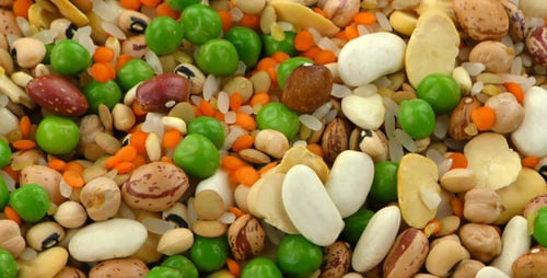 Colorful Mix of Assorted Beans, Peas, and Lentils