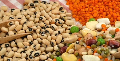 Dry Beans and Lentils on Checkered Surface