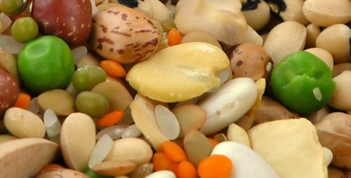 Uncooked Colorful Legumes and Grains Food Preparation