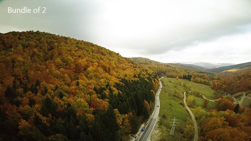 Flying Above Autumn Forest
