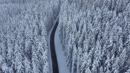 Drone Point of View Winter Snow Forest Road