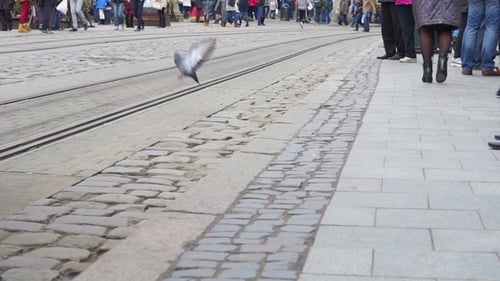 Leute an der Straßenbahnhaltestelle