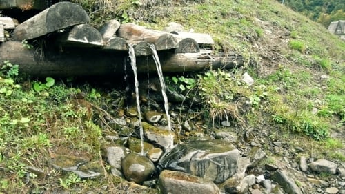 Clean Water Mountain Spring
