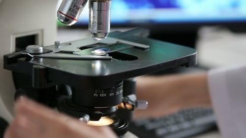 Microbiological Laboratory Work With Microscope