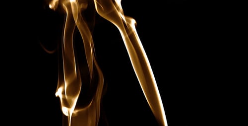 Gold Silky Smoke
