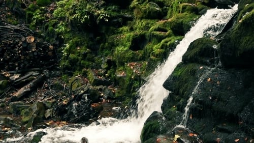 Wasserfall In Bergen