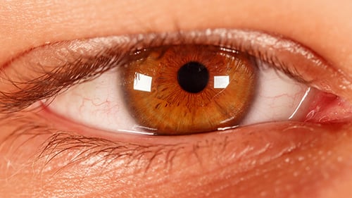 Extreme Close Up of a Human Eye