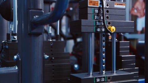 Professional Sport Weights In Gym