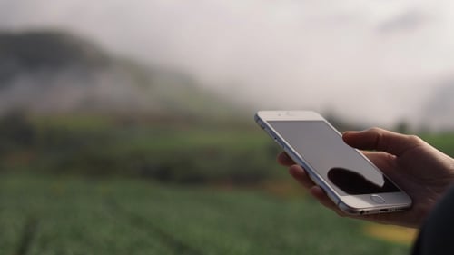 Hand Using Smartphone in a Natural Setting