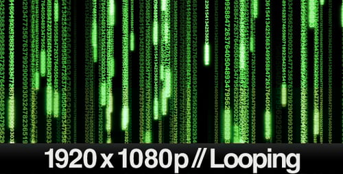 Digital Data Streaming Loop