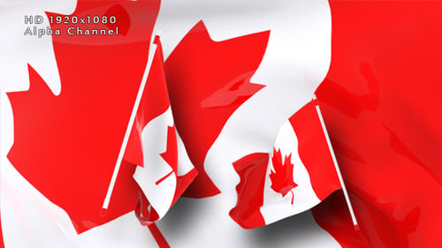 Canadian Flag Waving 3D Animation