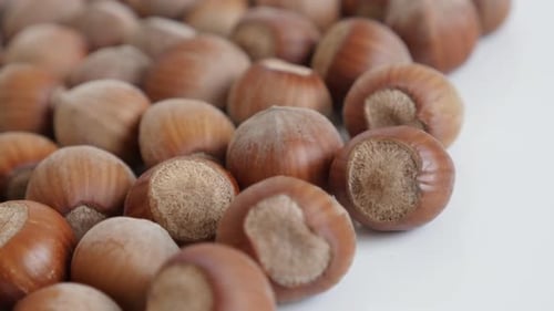 Close Up of a Pile of Brown Hazelnuts