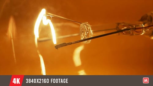 Electric Tungsten Bulb 50