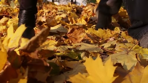 Homem e menina andando na floresta de outono