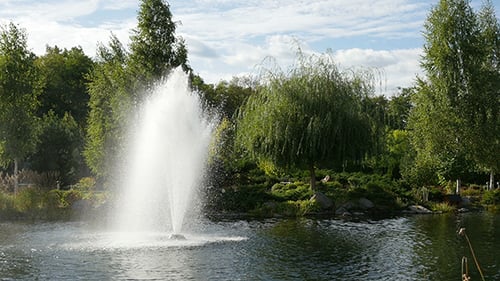 Springbrunnen in einem Park