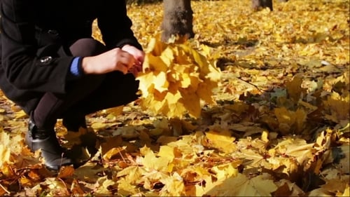 Happy Girl In Autumn Park Throws Yellow Fallen