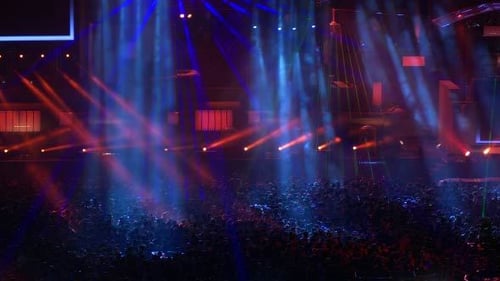 Crowd Enjoying Concert with Colorful Lights at Night