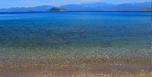 The Beach