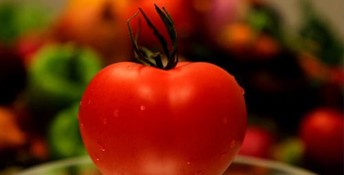 Alimentos orgânicos