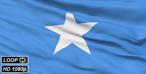 Waving Flag of Somalia with Realistic Fabric Motion