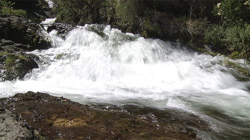 Wasserstrom in einem Wald