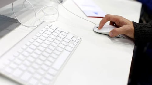 Freelancer Using Computer Mouse