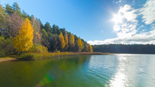 Bosque otoñal y lago