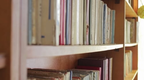 Library Shelves With Books