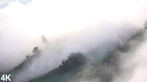 Mist On The Mountain