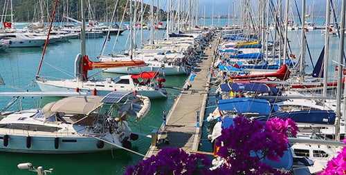 In The Marina