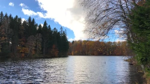 297 Lac de vue d'automne dans la forêt