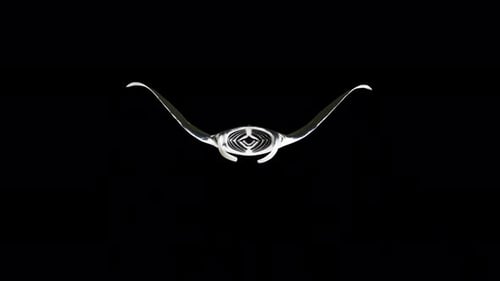 Manta Fish View from Front