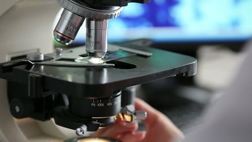 Close Up of Microscope Focus Adjustment in Lab