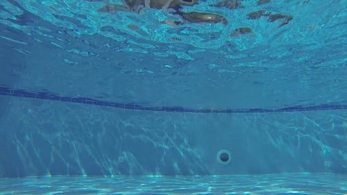 Underwater In The Pool