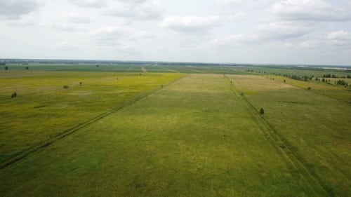 AERIAL: Flight Over The Wheat Field Autumn Day