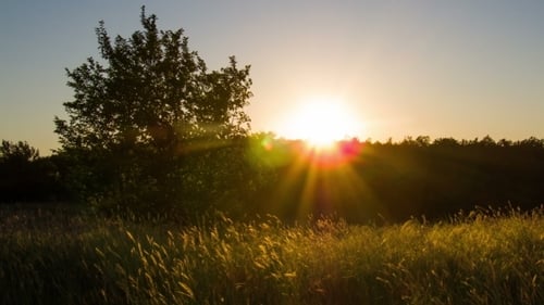 Golden Sunset Over Rural Field With Tree