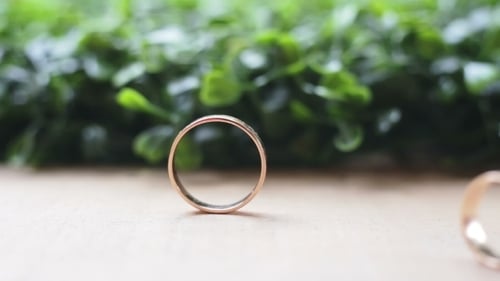 Wedding Rings On a Background Of Grass Movement