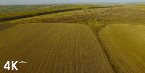 Flying Above Fields 2
