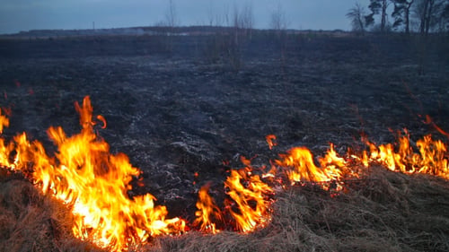 Burning Dry Grass