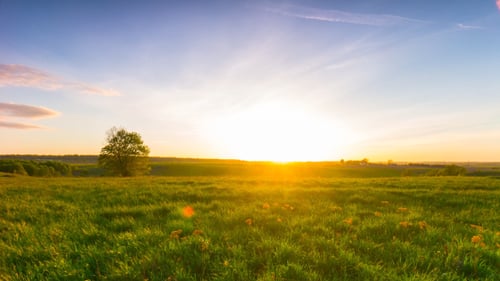 Green Field at Sunset, Nature Landscape
