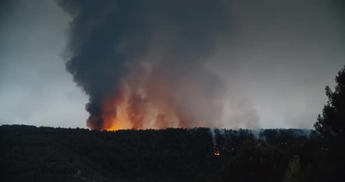 Forest on Fire at Horizon with Strong Smoke on Mountain Pollution of Wildfire