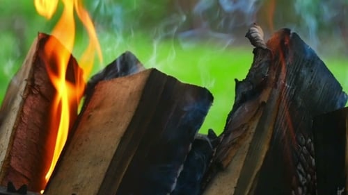 Bright Flames Rising From Wood in Fire Pit