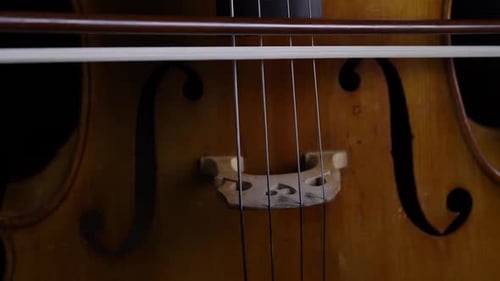 Close Up of the Bow Touches the Strings on a Cello