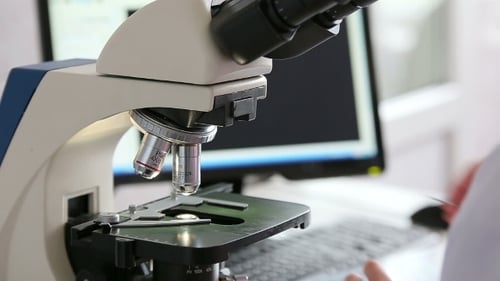 Mikrobiologische Laborarbeit mit Mikroskop