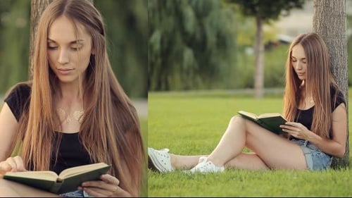 Woman Reading Book By The Tree In Park