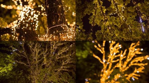 Christmas Lights Decoration on Tree at Night