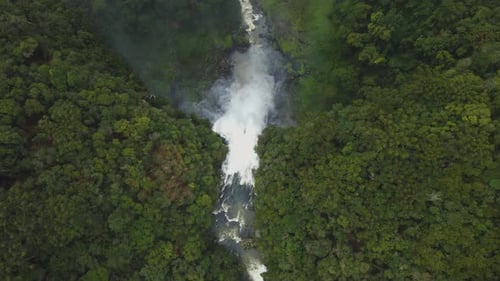 Tropical Waterfall Flowing Through Green Forest from Above