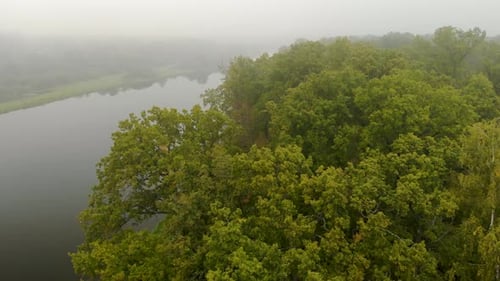 The Mysterious Landscape of Nature , River , Forest, Jungle of the Amazon in the Fog