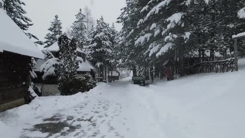 Snowy Log Cabins and Trees in Winter